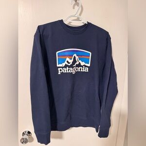 Patagonia Men's Blue Crewneck Sweater